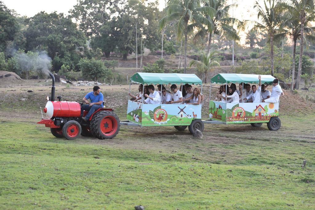 Quilombo Hotel Fazenda União dos Palmares المظهر الخارجي الصورة